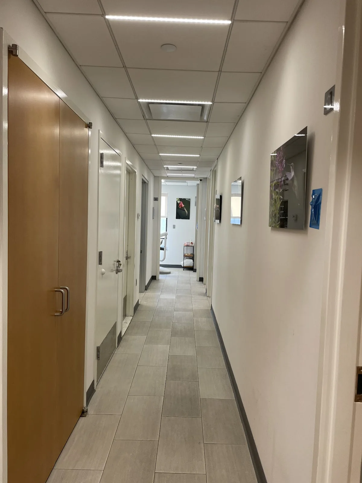 CANAL DENTAL GROUP gallery photo 3