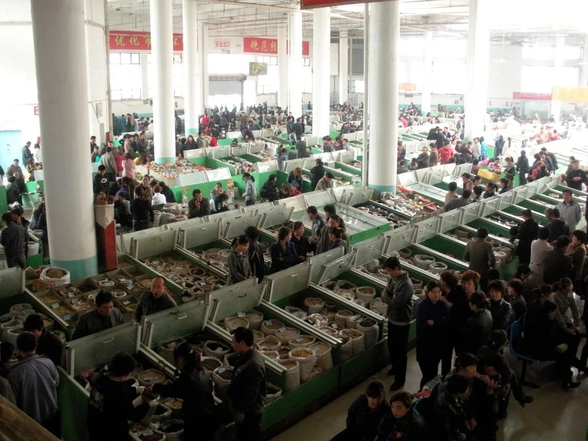 Chicken Soup Chinese Medicine gallery photo 5