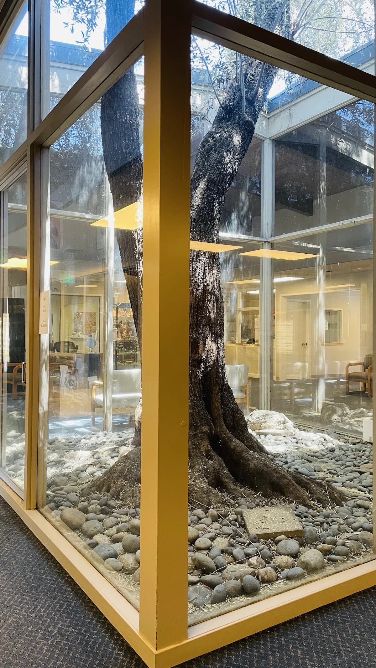 Eye Medical Clinic gallery photo 3