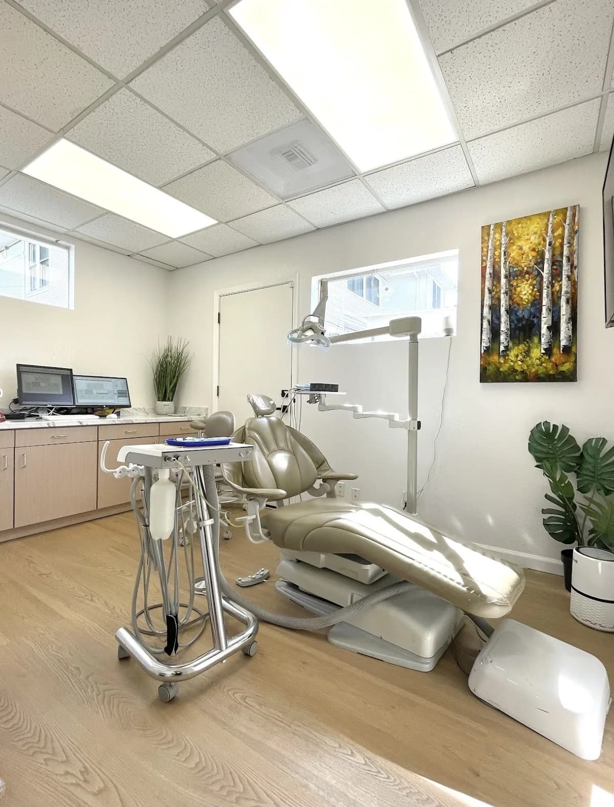 Great Care Dental 大愛牙醫 gallery photo 2