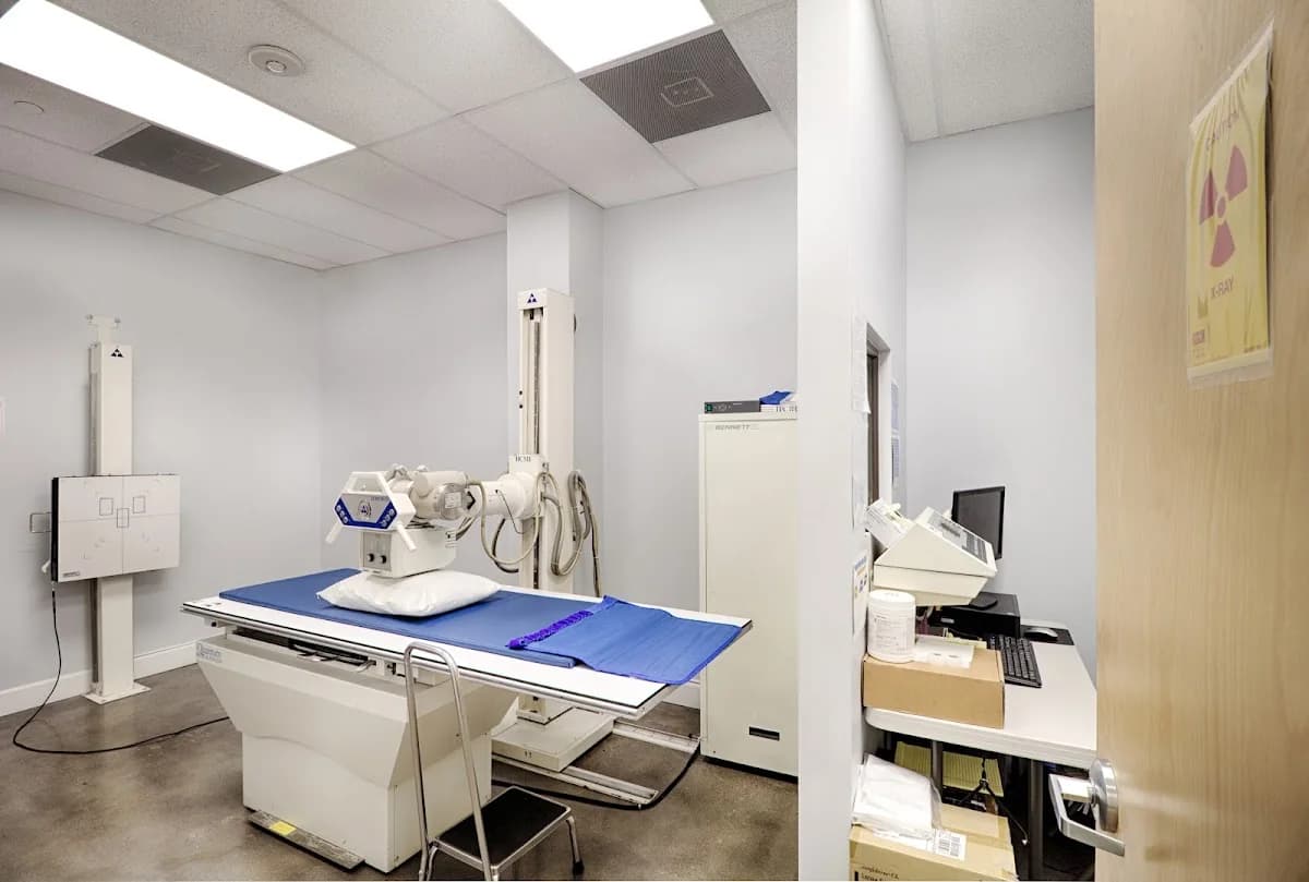 Han Orthopaedics gallery photo 4