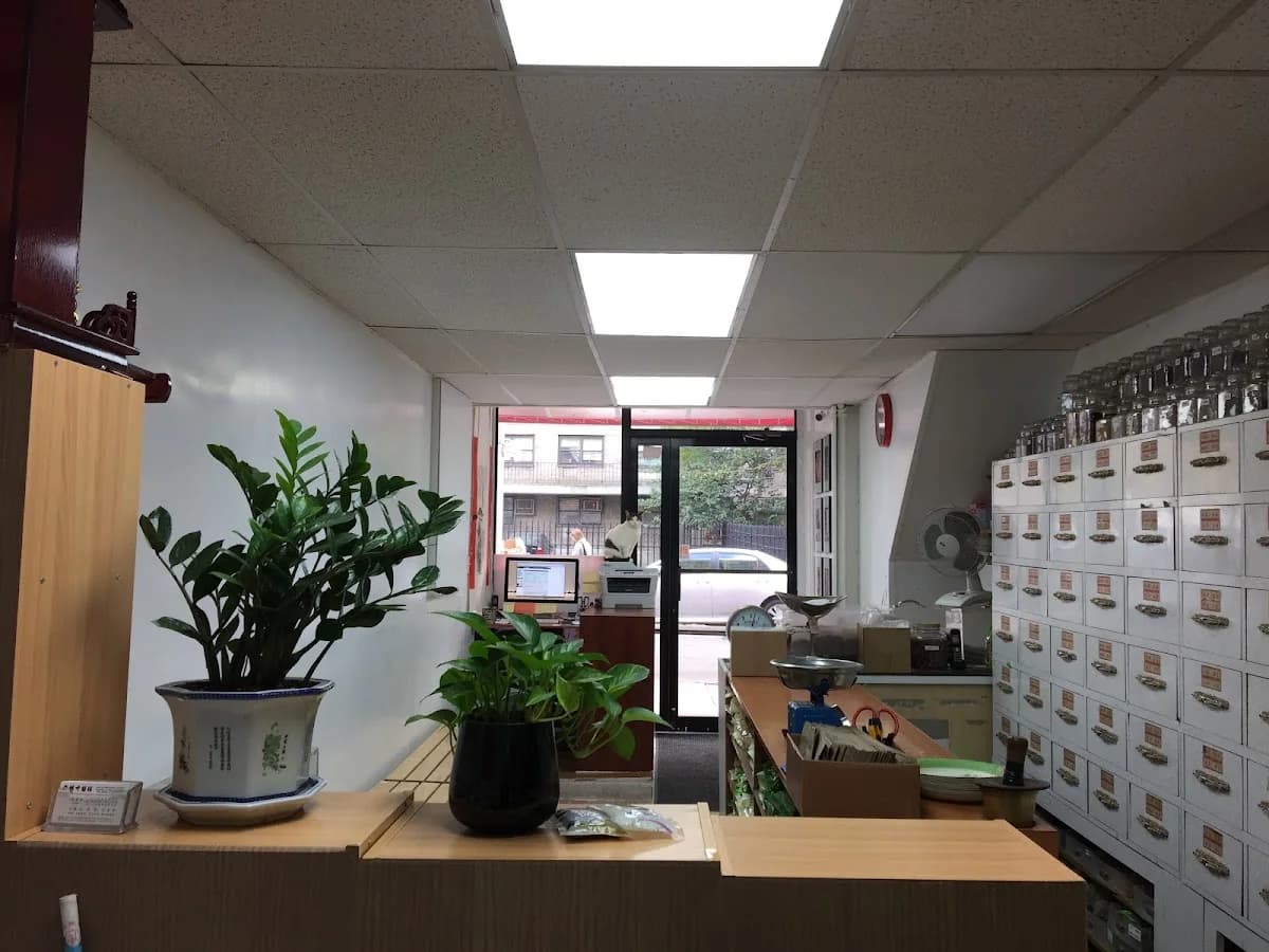 金桥中医馆 (Jinqiao Chinese Medicine Clinic) gallery photo 5