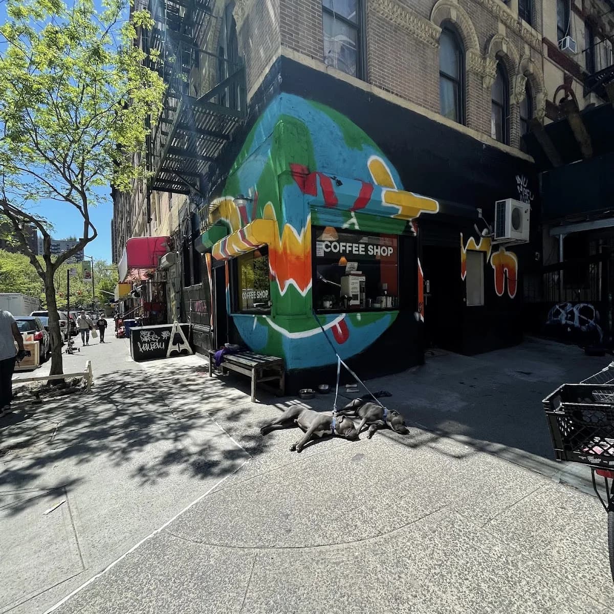 NYC Health + Hospitals/Gotham Health, Gouverneur gallery photo 5