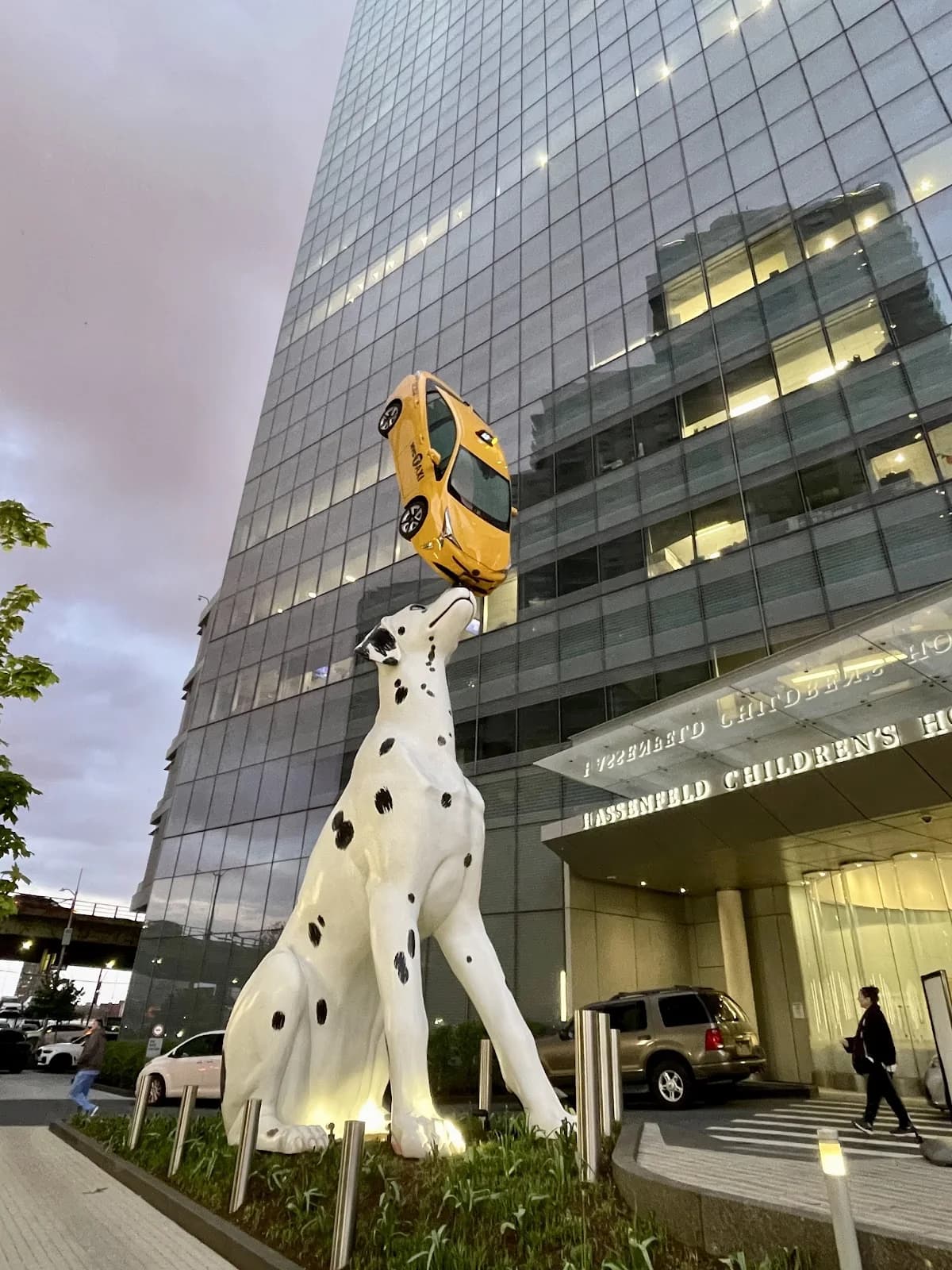 NYU Langone Health gallery photo 2