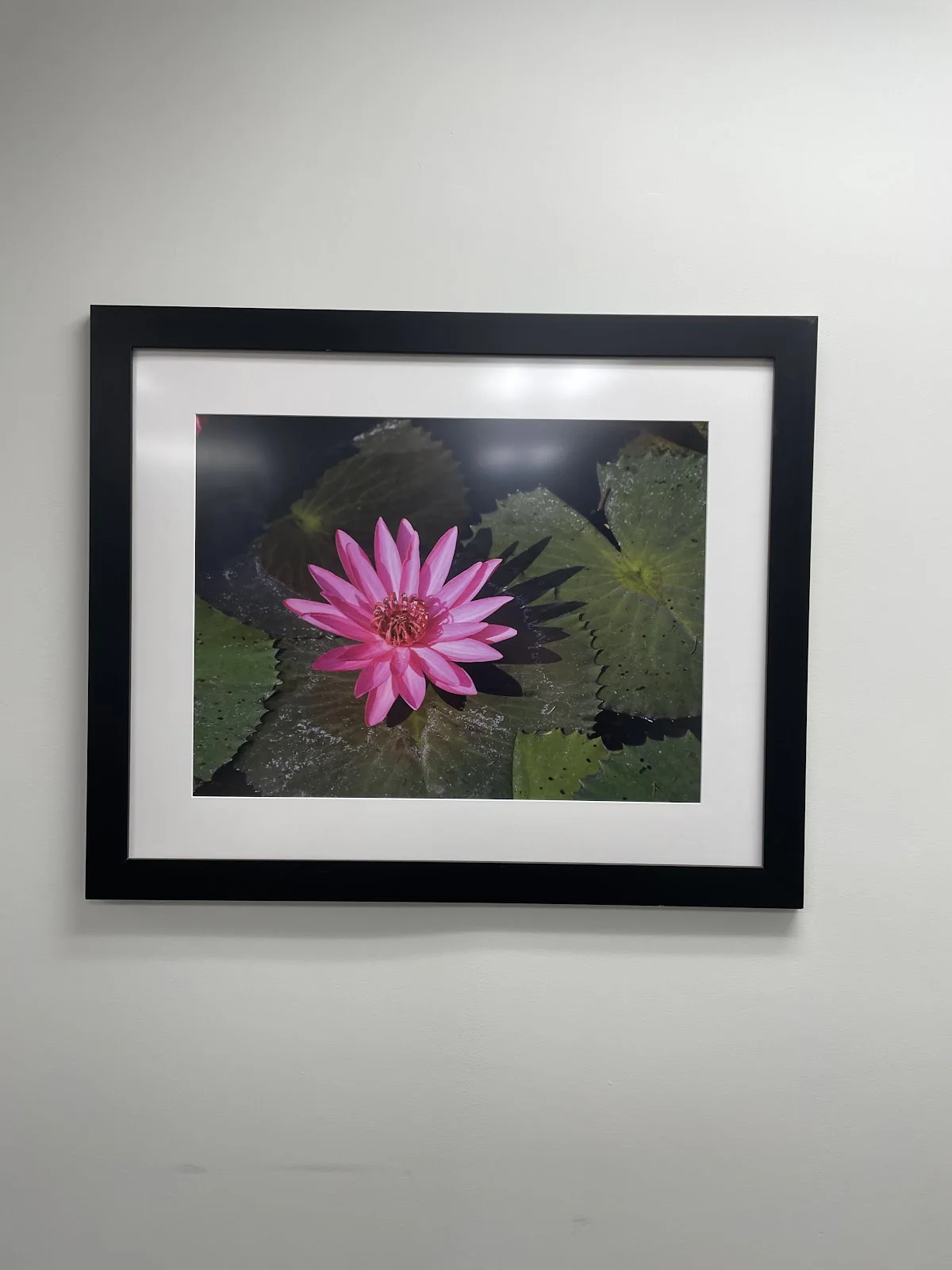Women's Care of Beverly Hills gallery photo 4